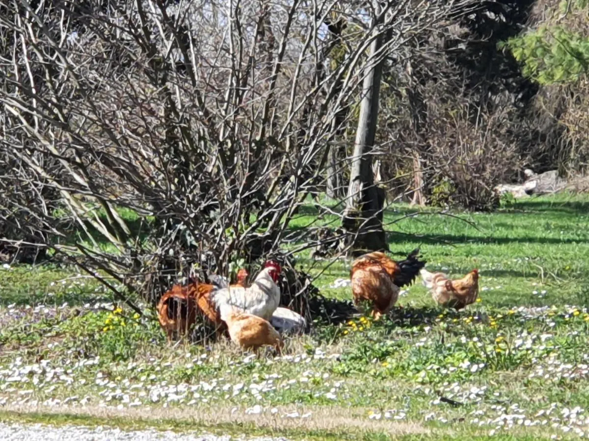 Farmház Corte Malpensata Bigarello
