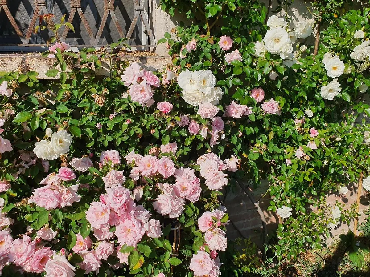Corte Malpensata Villa San Giorgio di Mantova Farm stay