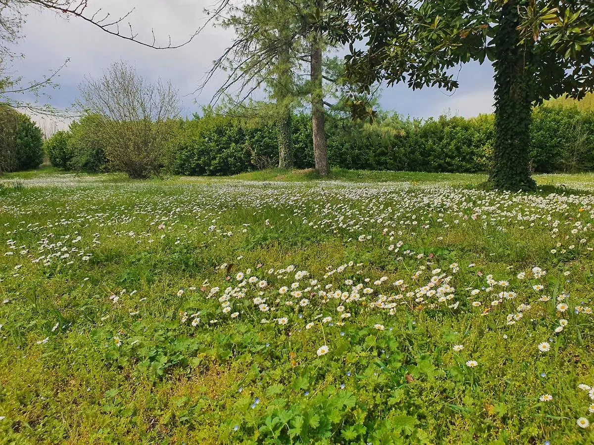 Farmház Corte Malpensata Bigarello