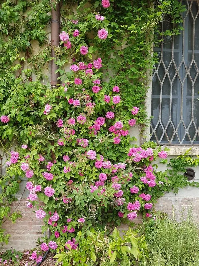 Corte Malpensata Villa San Giorgio di Mantova Farm stay